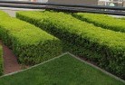 Obum Obumcommercial-landscaping-1.jpg; ?>
